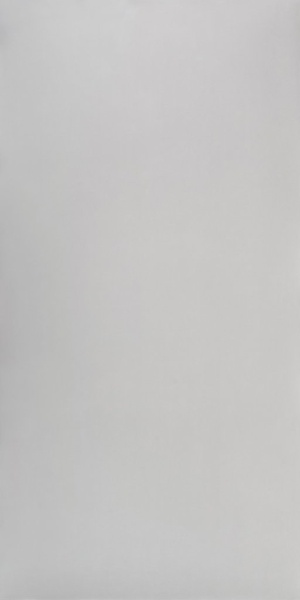 Studio Light grey polish 60 1